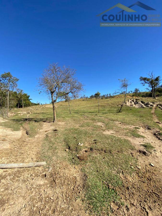 WhatsApp Image 2025-08-01 at 09.06.31 (25).jpeg